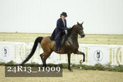 24R13_11909 thumbnail