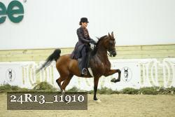 24R13_11910 thumbnail