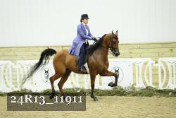 24R13_11911 thumbnail