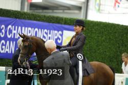 24R13_11923 thumbnail