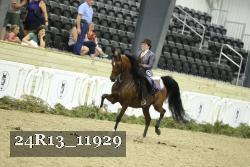 24R13_11929 thumbnail