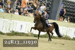 24R13_11930 thumbnail