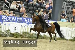 24R13_11931 thumbnail