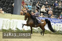 24R13_11932 thumbnail
