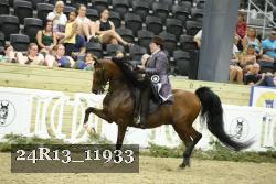 24R13_11933 thumbnail