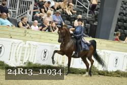 24R13_11934 thumbnail