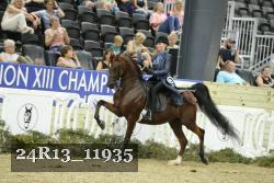 24R13_11935 thumbnail