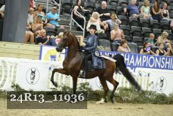 24R13_11936 thumbnail