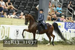 24R13_11937 thumbnail