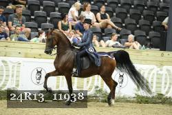 24R13_11938 thumbnail
