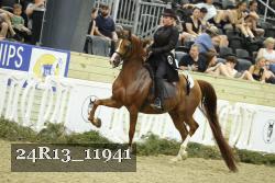 24R13_11941 thumbnail
