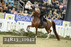 24R13_11942 thumbnail
