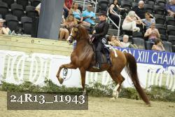 24R13_11943 thumbnail