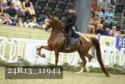24R13_11944 thumbnail