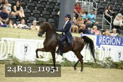 24R13_11951 thumbnail