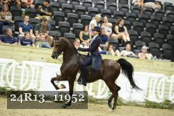 24R13_11952 thumbnail