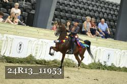 24R13_11953 thumbnail