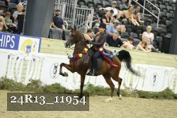 24R13_11954 thumbnail