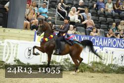 24R13_11955 thumbnail