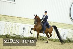 24R13_11712 thumbnail