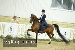 24R13_11713 thumbnail