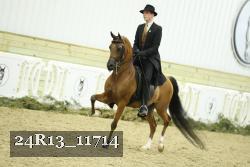 24R13_11714 thumbnail