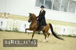 24R13_11715 thumbnail