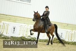 24R13_11716 thumbnail