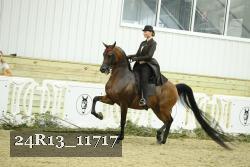 24R13_11717 thumbnail