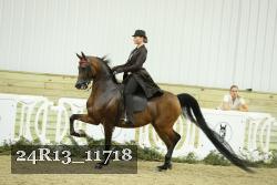 24R13_11718 thumbnail