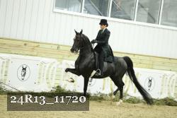 24R13_11720 thumbnail