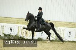 24R13_11721 thumbnail