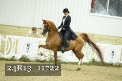 24R13_11722 thumbnail