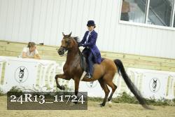 24R13_11724 thumbnail