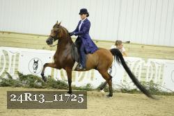 24R13_11725 thumbnail