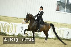 24R13_11726 thumbnail
