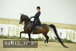24R13_11727 thumbnail