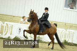 24R13_11728 thumbnail