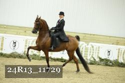 24R13_11729 thumbnail