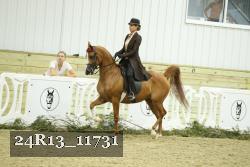 24R13_11731 thumbnail