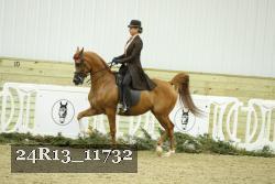 24R13_11732 thumbnail