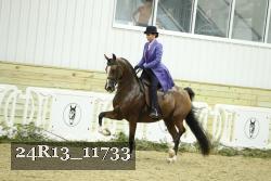 24R13_11733 thumbnail