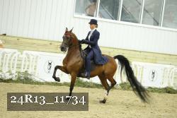 24R13_11734 thumbnail