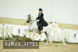 24R13_11735 thumbnail