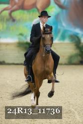 24R13_11736 thumbnail