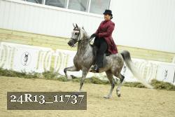 24R13_11737 thumbnail