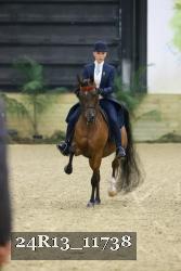 24R13_11738 thumbnail