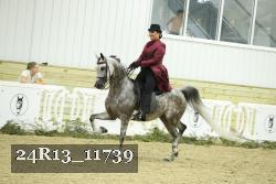 24R13_11739 thumbnail