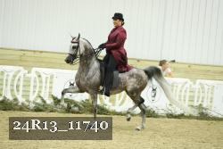 24R13_11740 thumbnail