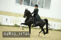 24R13_11741 thumbnail